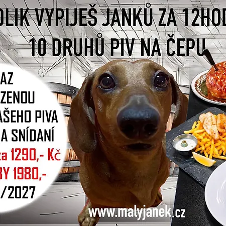 Pensjonat Eska S Pivovarem Mj Jince